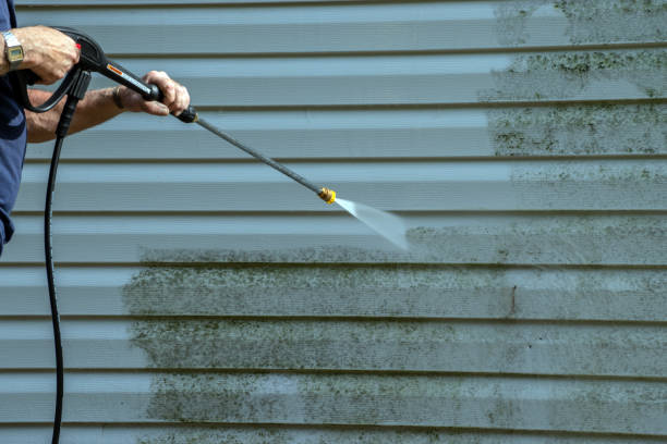 Best Roof Pressure Washing  in New Cassel, NY