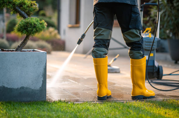Best Roof Power Washing Services  in New Cassel, NY